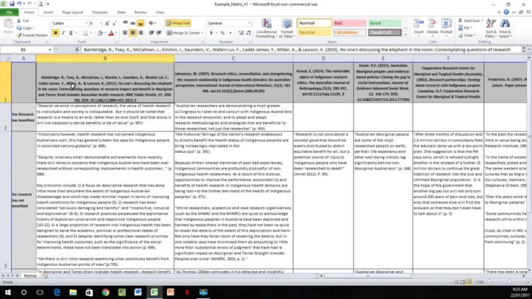 Literature Review Matrix : From Chaos to Clarity